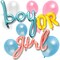 Gender Reveal Foil Party Balloons, Boy or Girl (19 Piece Set)